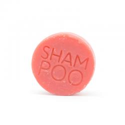 Solid Shampoo with Prickly Pear for Damaged Hair - Packaging Free - FRAGRANCES WITHOUT ALLERGENS