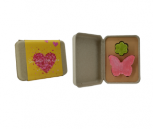 Valentine's Day gift box Flower and butterfly