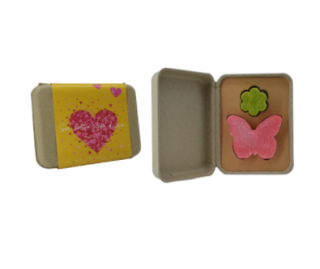 Valentine's Day gift box Flower and butterfly