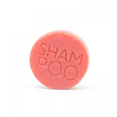 Solid Shampoo with Prickly Pear for Damaged Hair - Packaging Free - FRAGRANCES WITHOUT ALLERGENS